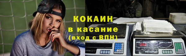 spice Дмитриев