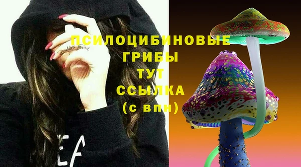 Альфа ПВП Елабуга